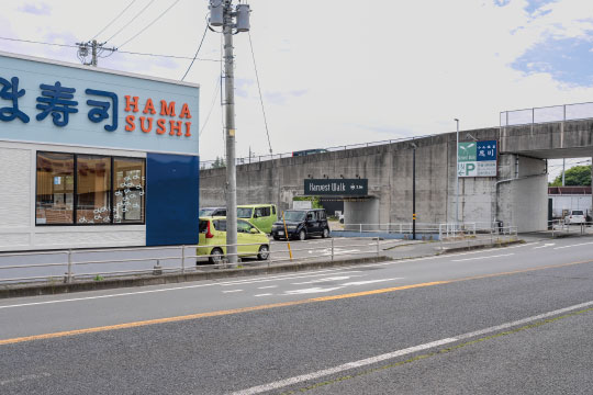 写真1