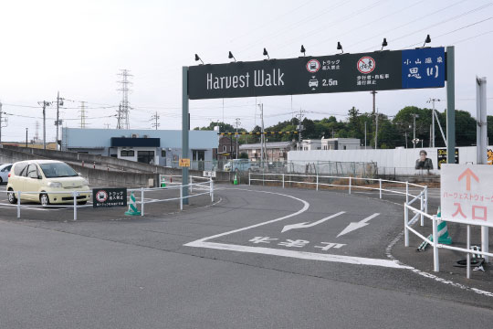 写真6