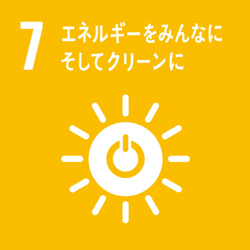 SDG 7
