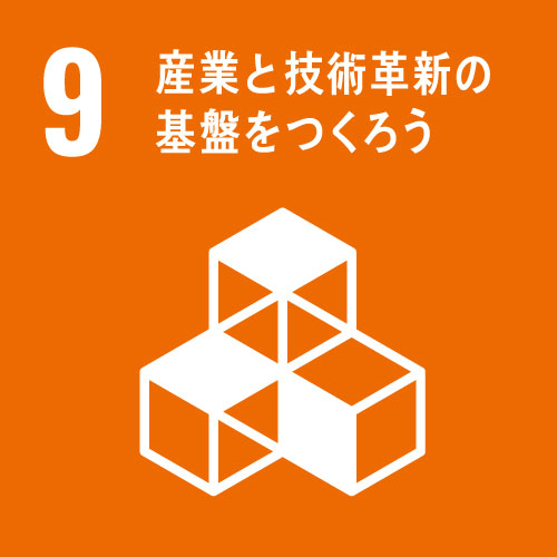 SDG 9