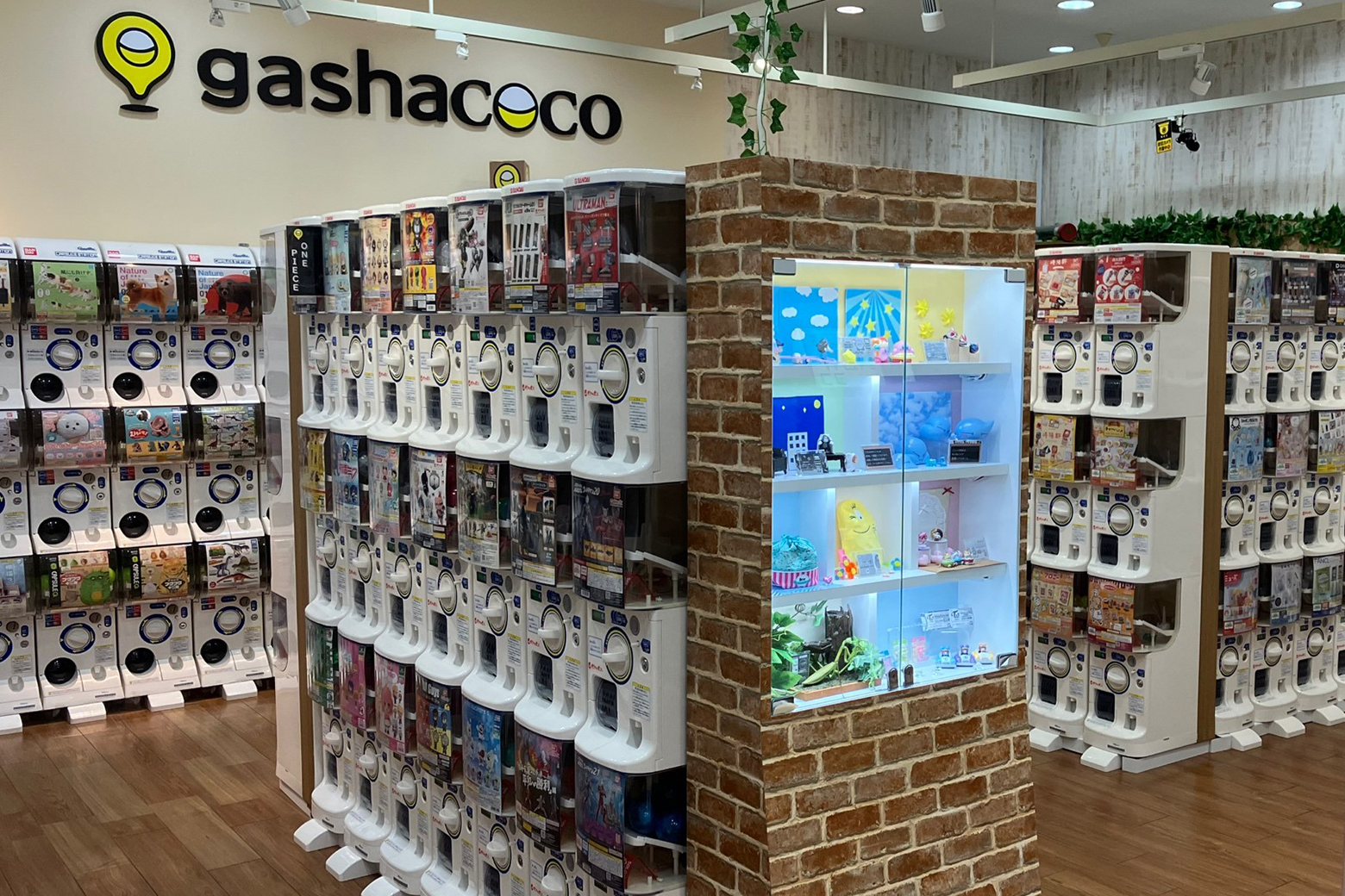おやまゆうえんハーヴェストウォーク_gashacoco_カプセルトイショップ