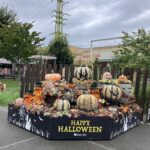 ハロウィン装飾を施しました！