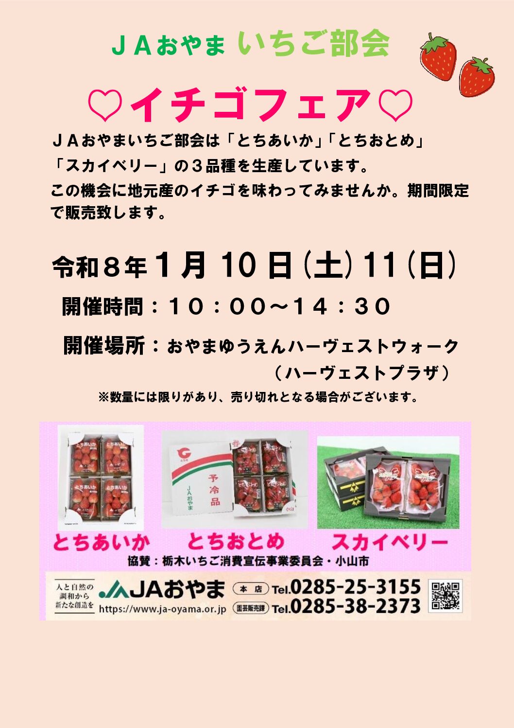 JAおやまいちご部会　～イチゴフェアの開催～