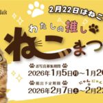 「わたしの推しねこまつり」お写真展示中！