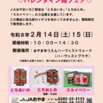 JAおやまいちご部会　～バレンタインイチゴフェア～