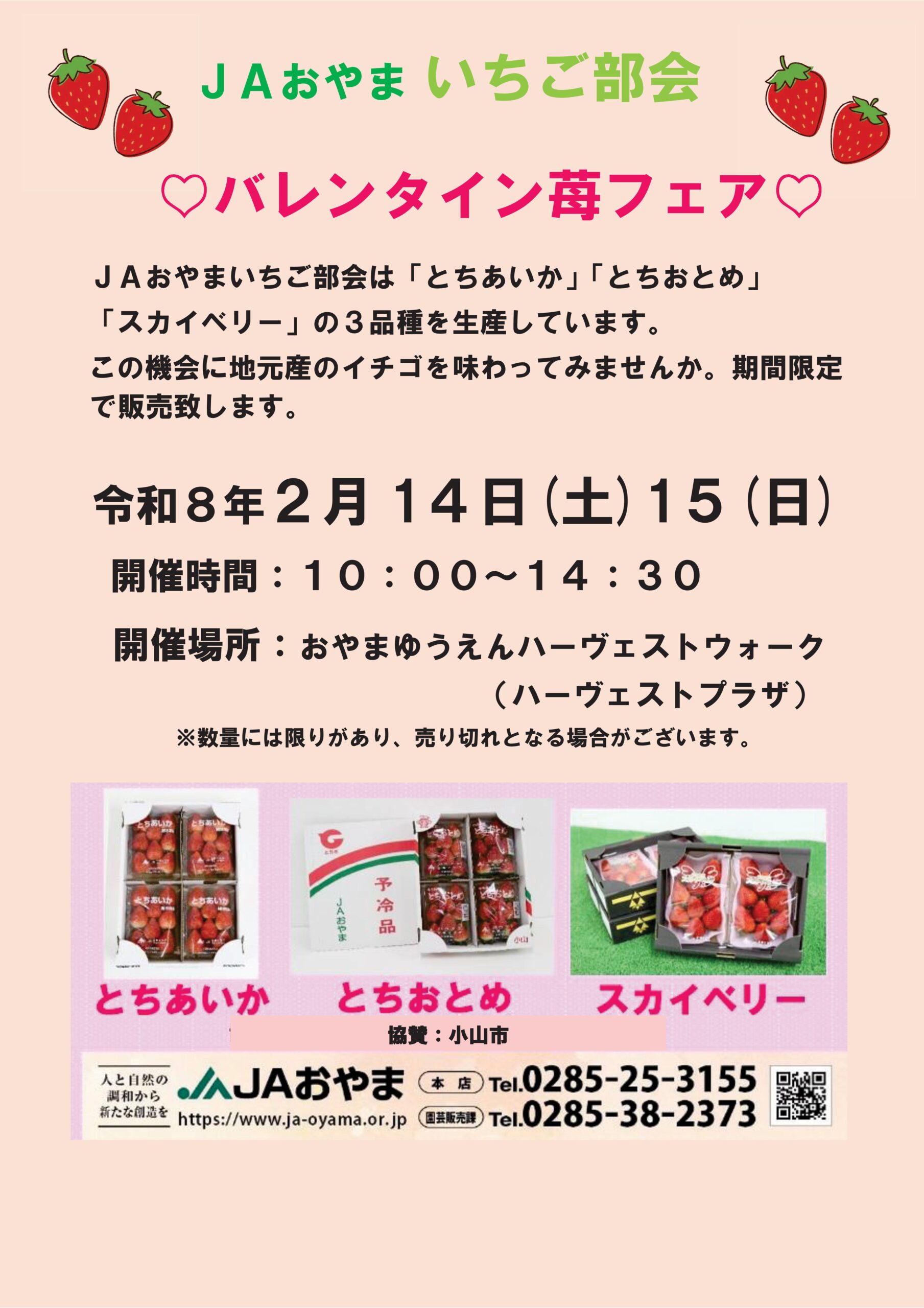 JAおやまいちご部会　～バレンタインイチゴフェア～