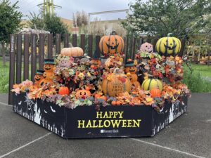 ハロウィン装飾を施しました！